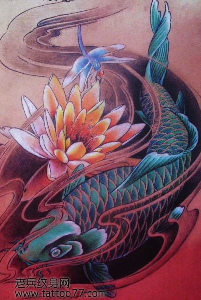 鲤鱼纹身手稿─彩色莲花蜻蜓鲤鱼纹身手稿