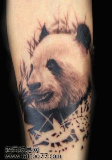 手臂可爱经典的熊猫纹身图案