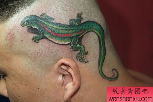 头部一款彩色蜥蜴纹身图案