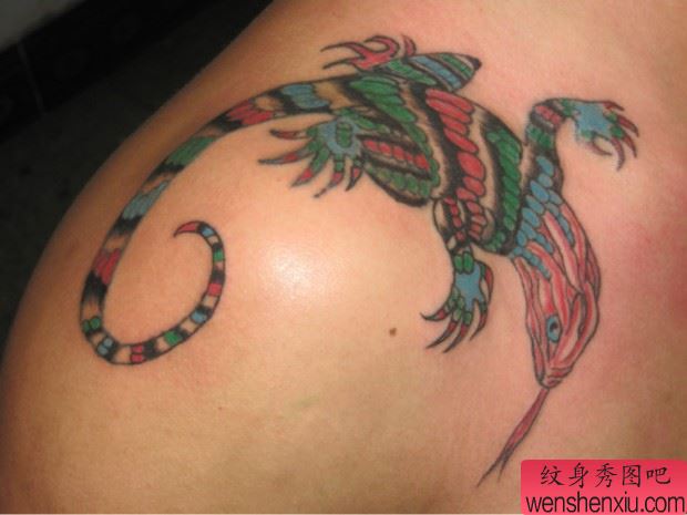 肩部蜥蜴纹身图案-蚌埠纹身秀图吧霞艺纹身推荐