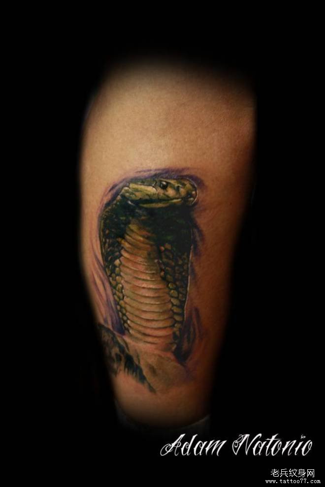 一款眼镜蛇纹身图案