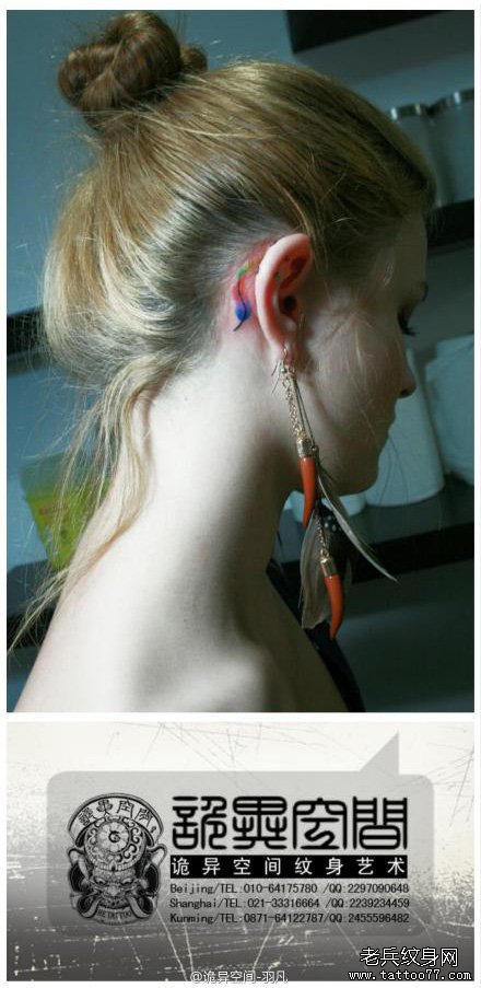 女生耳部潮流小巧的羽毛纹身图案