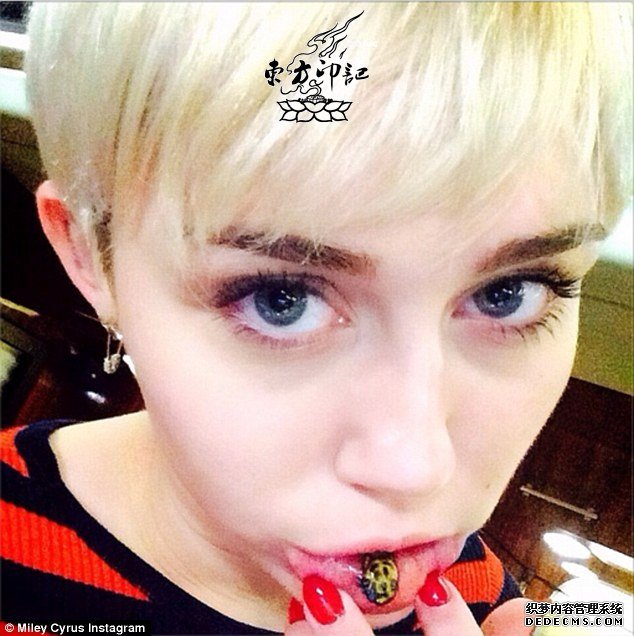 麦莉塞勒斯新添嘴唇纹身——丑陋的猫咪