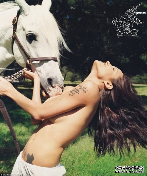 安吉丽娜朱莉腹部的纹身是什么