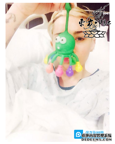 麦莉因爱犬去世伤心住院  或将为爱犬纹身