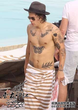 哈里·斯泰尔斯现身里约热内卢秀纹身