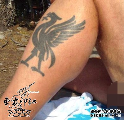 瑞典一议员网上晒纹身 露私处因争议