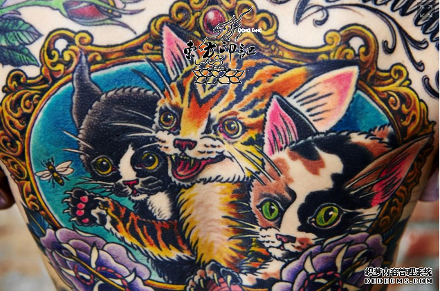 美国女纹身师因猫纹身而走红