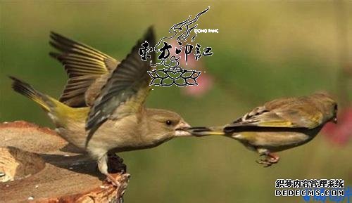 陌生纹身男被砍  失血休克无人怜