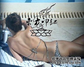 赛琳娜臀部添新纹身 貌似借纹身疗情伤