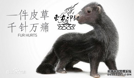 善待动物组织(PETA):爱纹身 不爱皮草