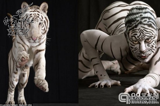 美国女子另类摄影大片 模仿动物纹身