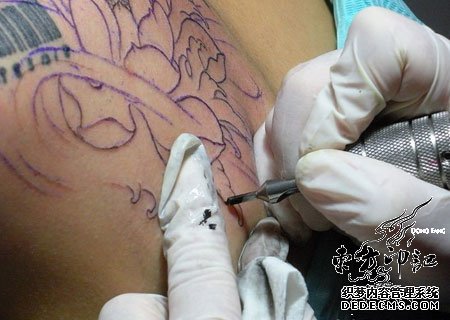 澳洲男子教唆纹身师纹生殖器  三年后被捕