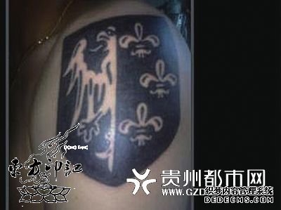 法国政党候选人因纳粹徽章纹身而被辞