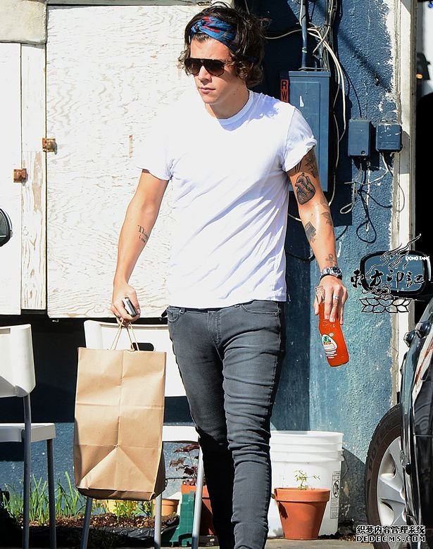 哈里-斯泰尔斯怪异的新纹身——心脏结构图