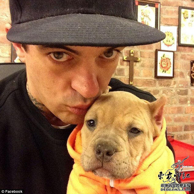 狗主人在给狗纹身之后......