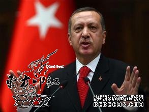 土耳其总理调侃：小心纹身后得皮肤癌