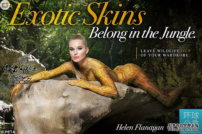 彩绘纹身版的蟒蛇，可怕吗？