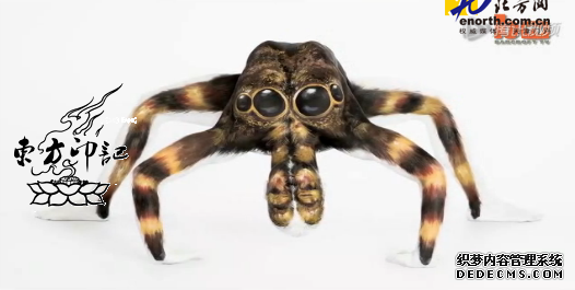 彩绘纹身：美女竟然变成大蜘蛛