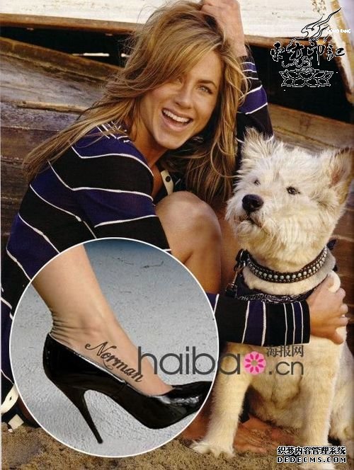 那些为爱犬纹身的明星们