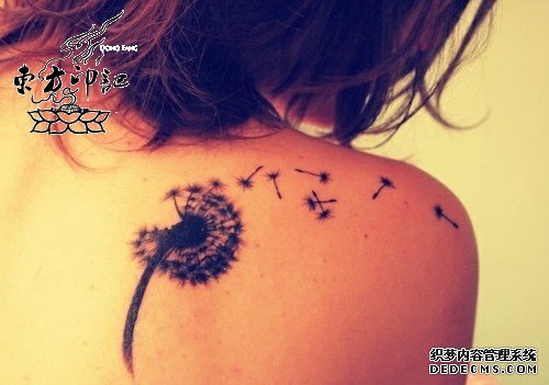 蒲公英纹身：漂泊不定的宿命