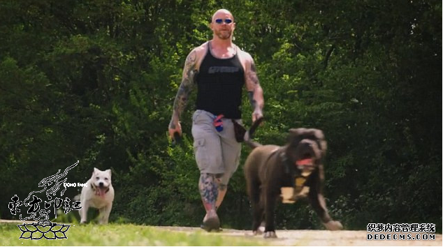 死了都要爱：英男子用爱犬骨灰纹身