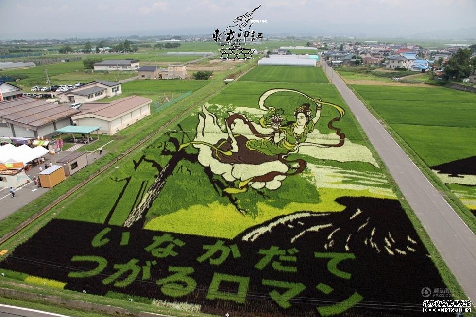 稻田上的纹身：日本稻田惊现富士山