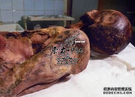 公主木乃伊纹身，是否代表某种预言？