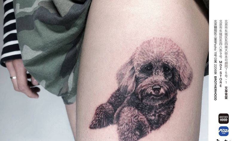 泰迪纹身图片_腿部欧美写实纹身图案