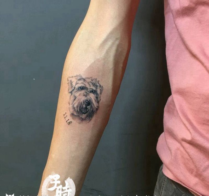 爱宠纹身图片_手臂欧美写实动物原创成品纹身图案