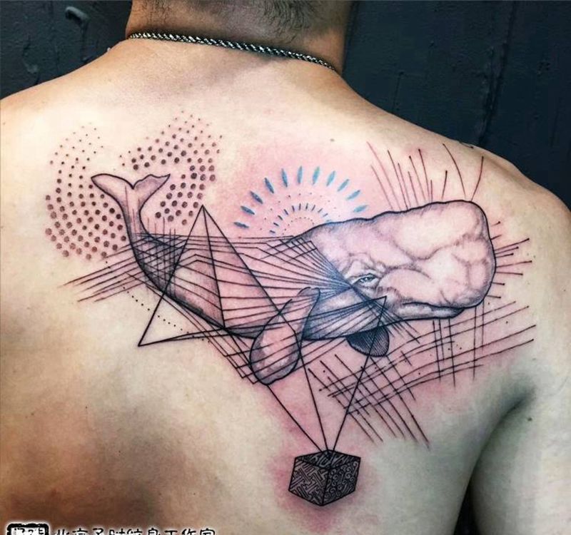 座头鲸纹身图片_