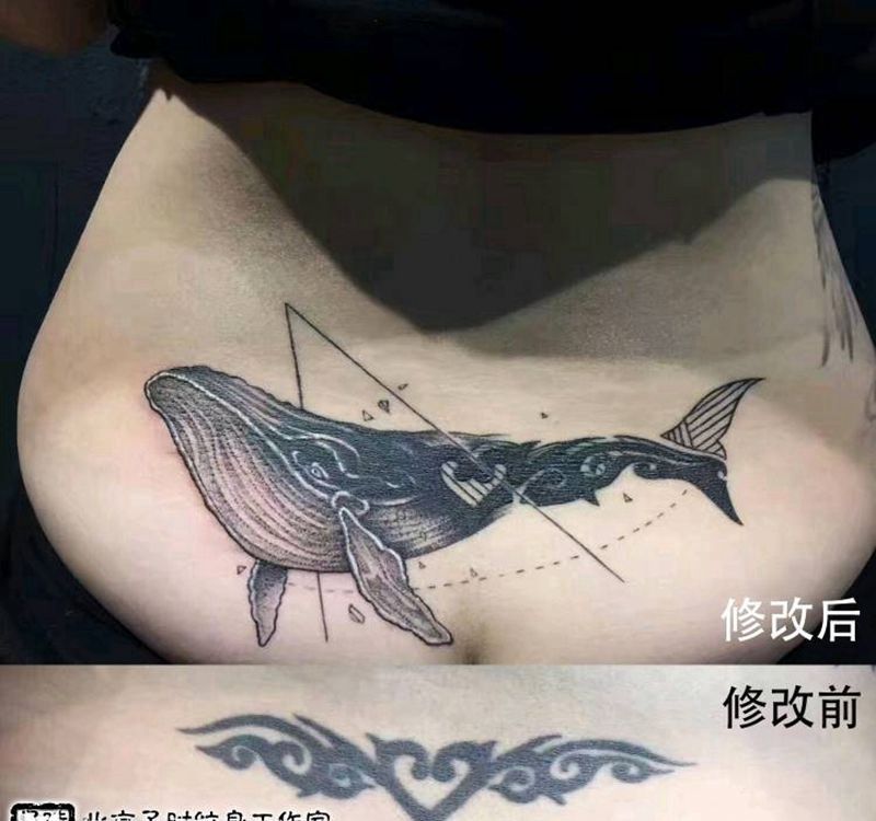 抹香鲸纹身图片_