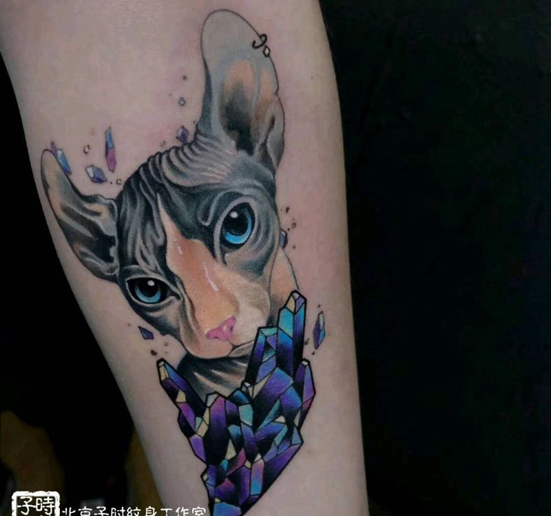 猫咪纹身图片_手臂Old School纹身图案