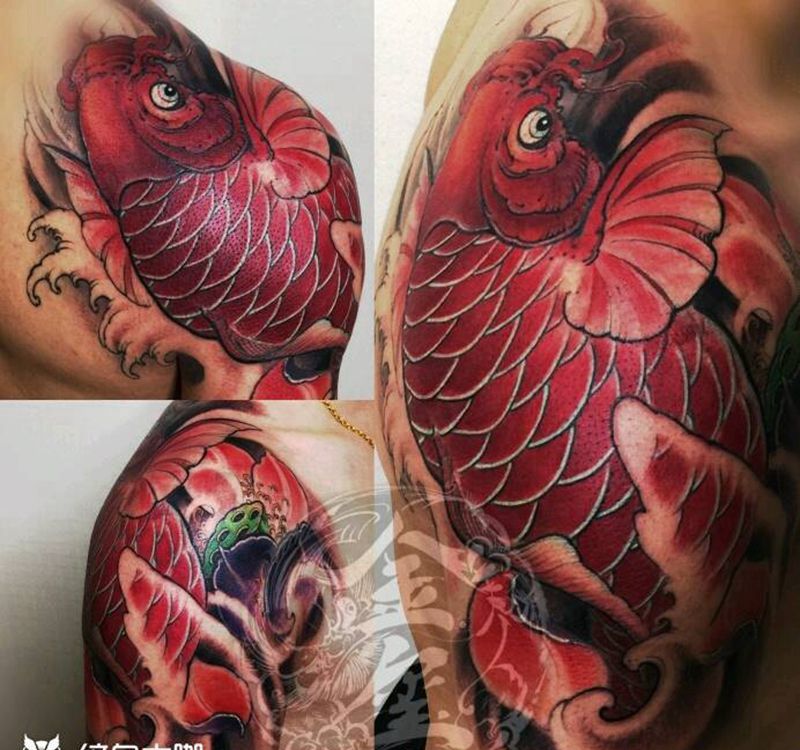 彩色鲤鱼纹身图片_肩部传统金玺刺青于光明金玺培训刺青小红小花老师成品手稿纹身图案