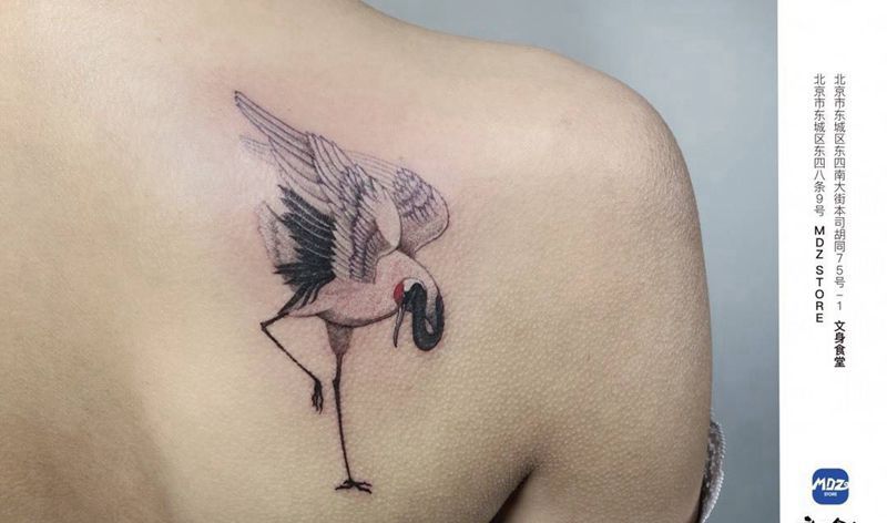 鹤纹身图片_背部写实纹身图案