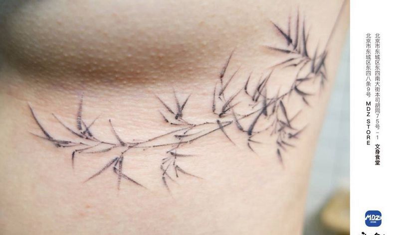 竹纹身图片_腹部水墨纹身图案