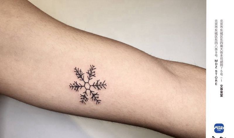 雪花纹身图片_手臂线构纹身图案