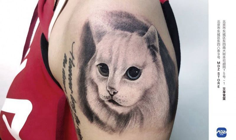猫纹身图片_手臂欧美写实纹身图案
