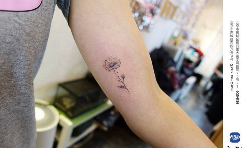 花纹身图片_手臂清新纹身图案