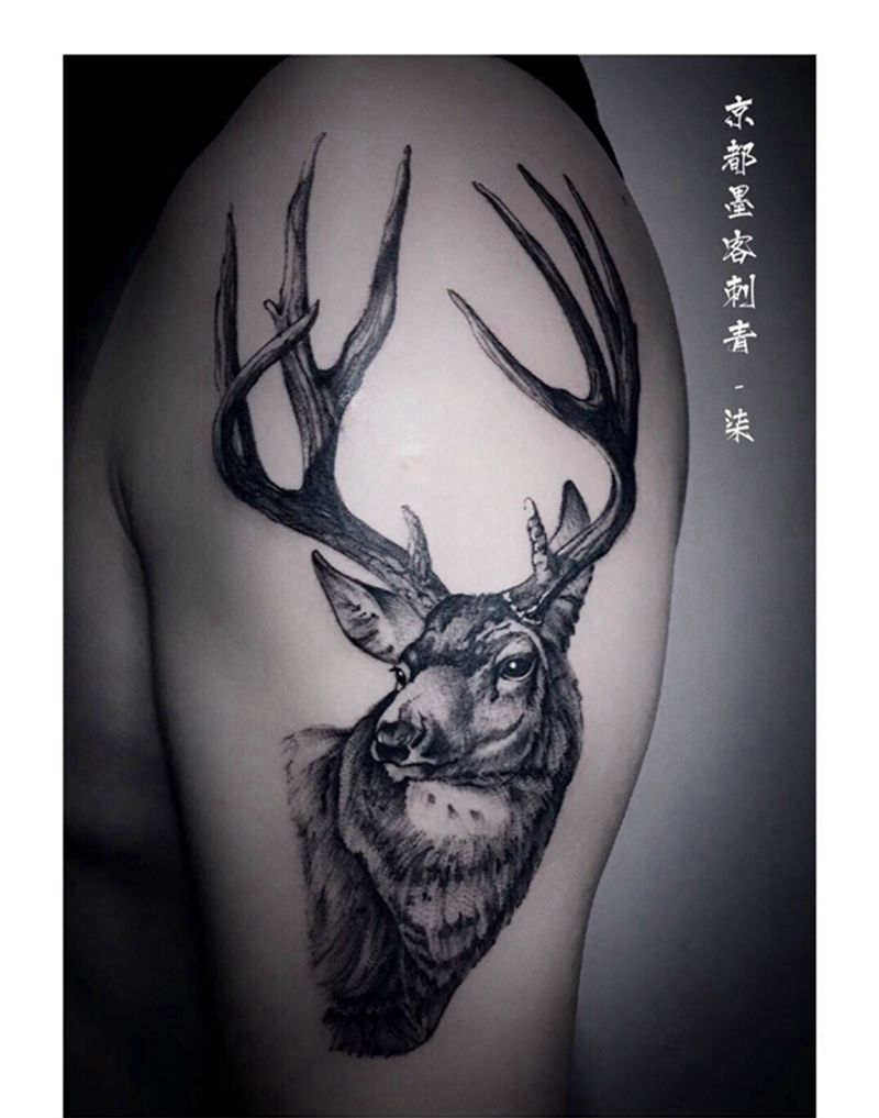 京都墨客刺青纹身图片_原创动物成品手稿插画手臂清新写实习俗传统纹身图案