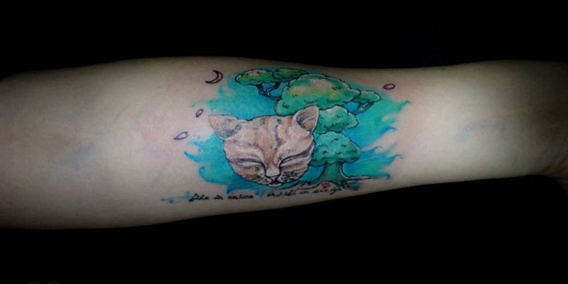 希望梦境里你可以安详纹身图片_肩部背部手臂腿部清新动物猫成品纹身图案