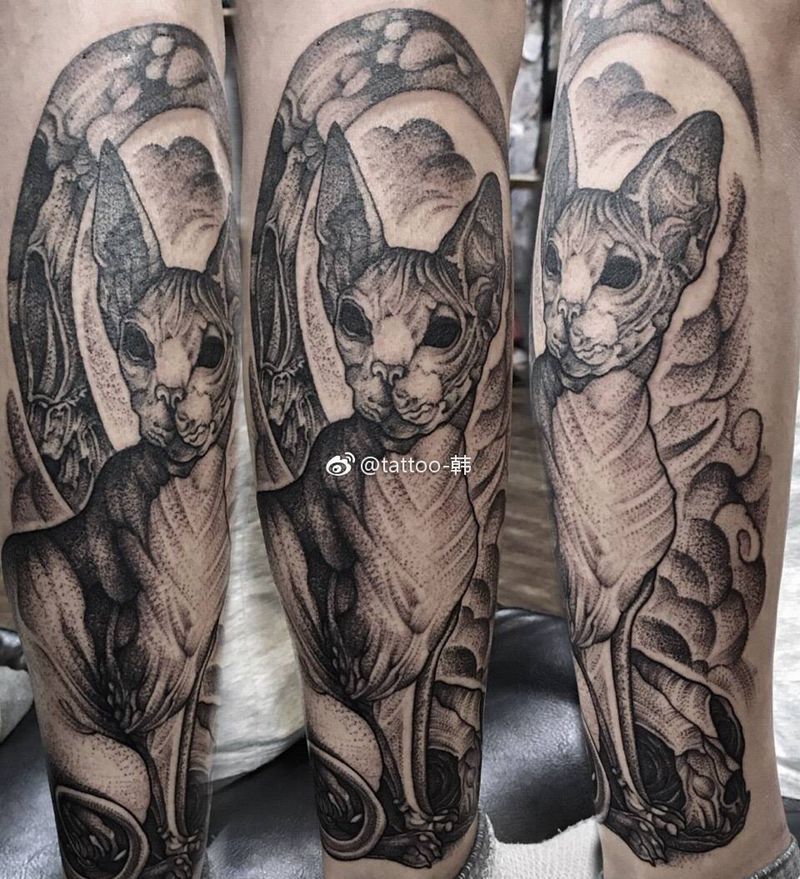 无毛猫纹身图片_