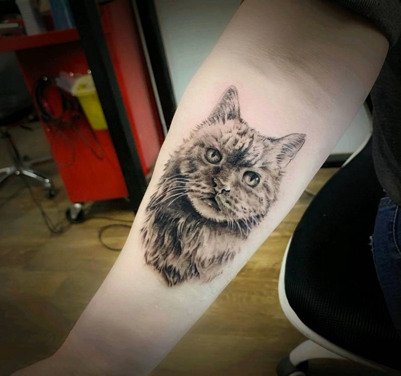 猫纹身图片_手臂欧美写实纹身图案