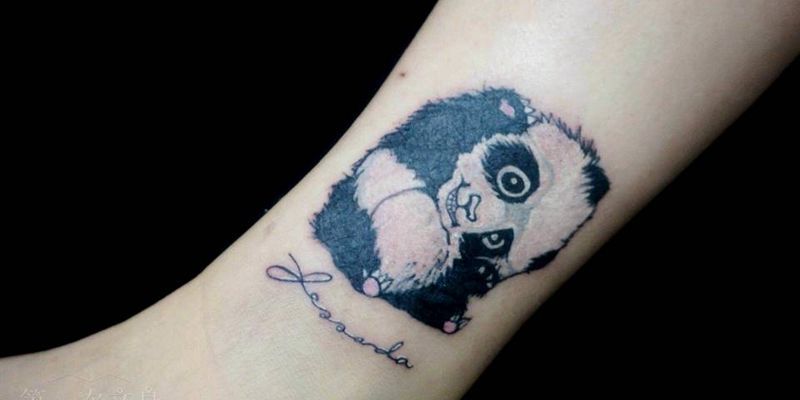 小熊猫纹身图片_腰部手臂腿部欧美动物熊猫成品纹身图案