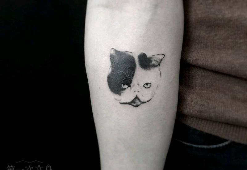 猫咪纹身图片_背部手臂腿部欧美写实动物原创猫成品纹身图案