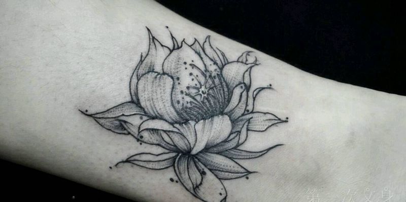 昙花纹身图片_手臂腿部欧美清新几何植物成品纹身图案