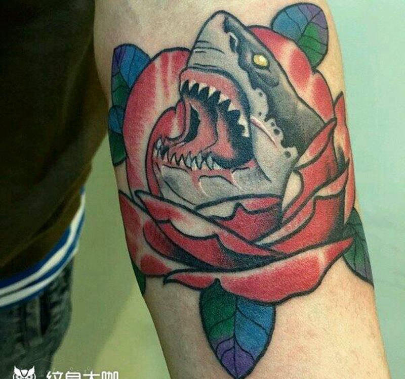 鲨鱼纹身图片_手臂欧美动物成品纹身图案