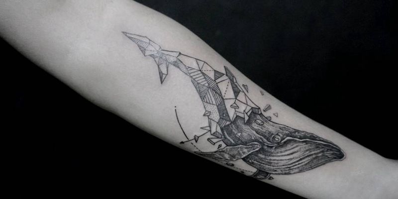 鲸鱼纹身图片_肩部腰部背部手臂腿部欧美几何动物鲸鱼成品纹身图案