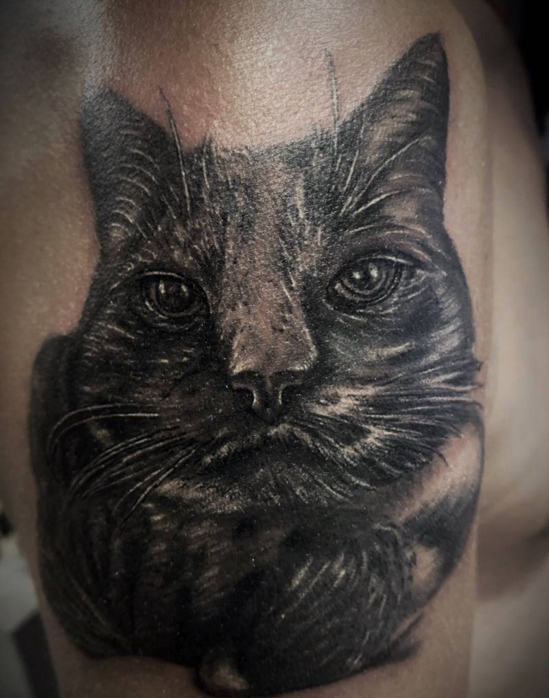 猫纹身图片_手臂肩部欧美写实纹身图案