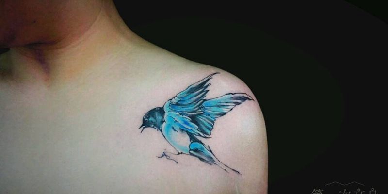 飞鸟纹身图片_肩部欧美清新动物原创成品纹身图案